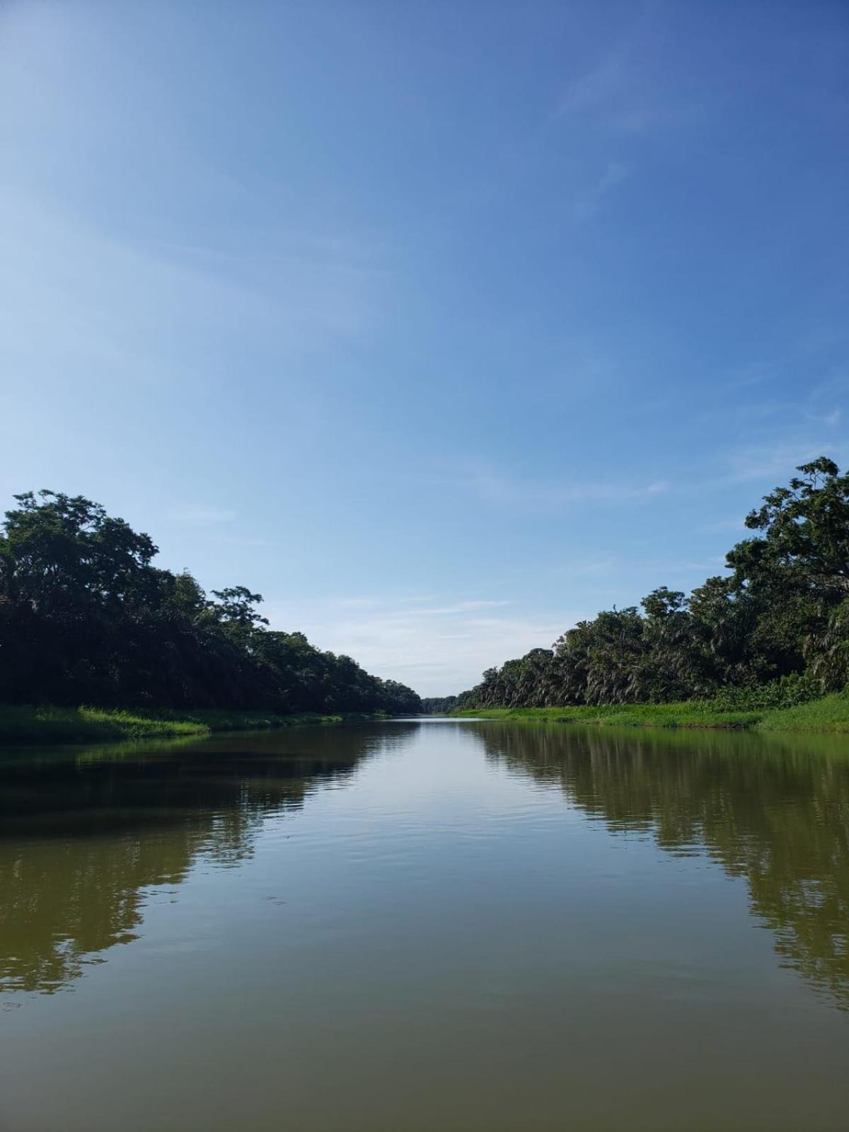 Alma Del Bosque Hotel Tortuguero Exteriér fotografie