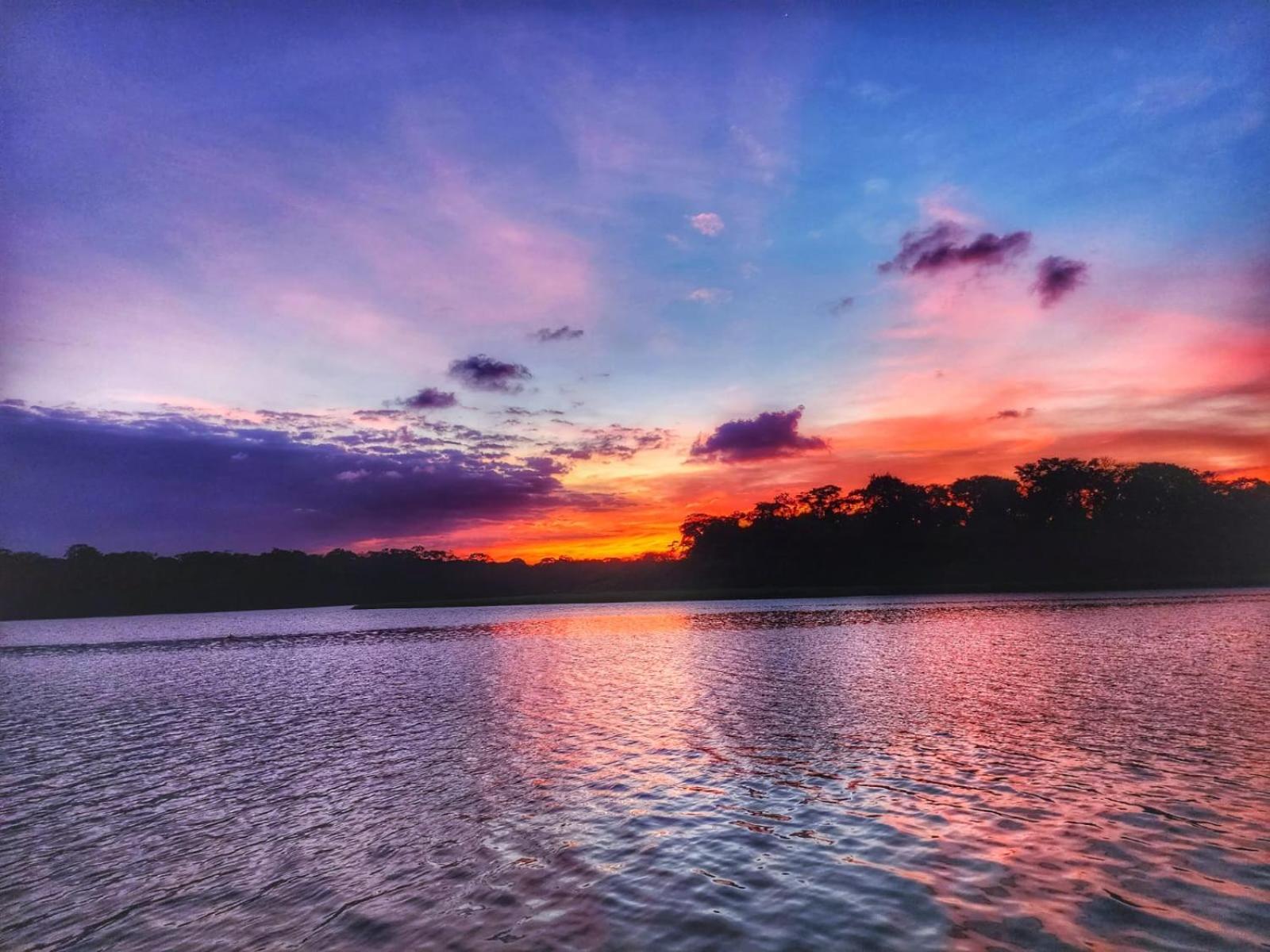 Alma Del Bosque Hotel Tortuguero Exteriér fotografie